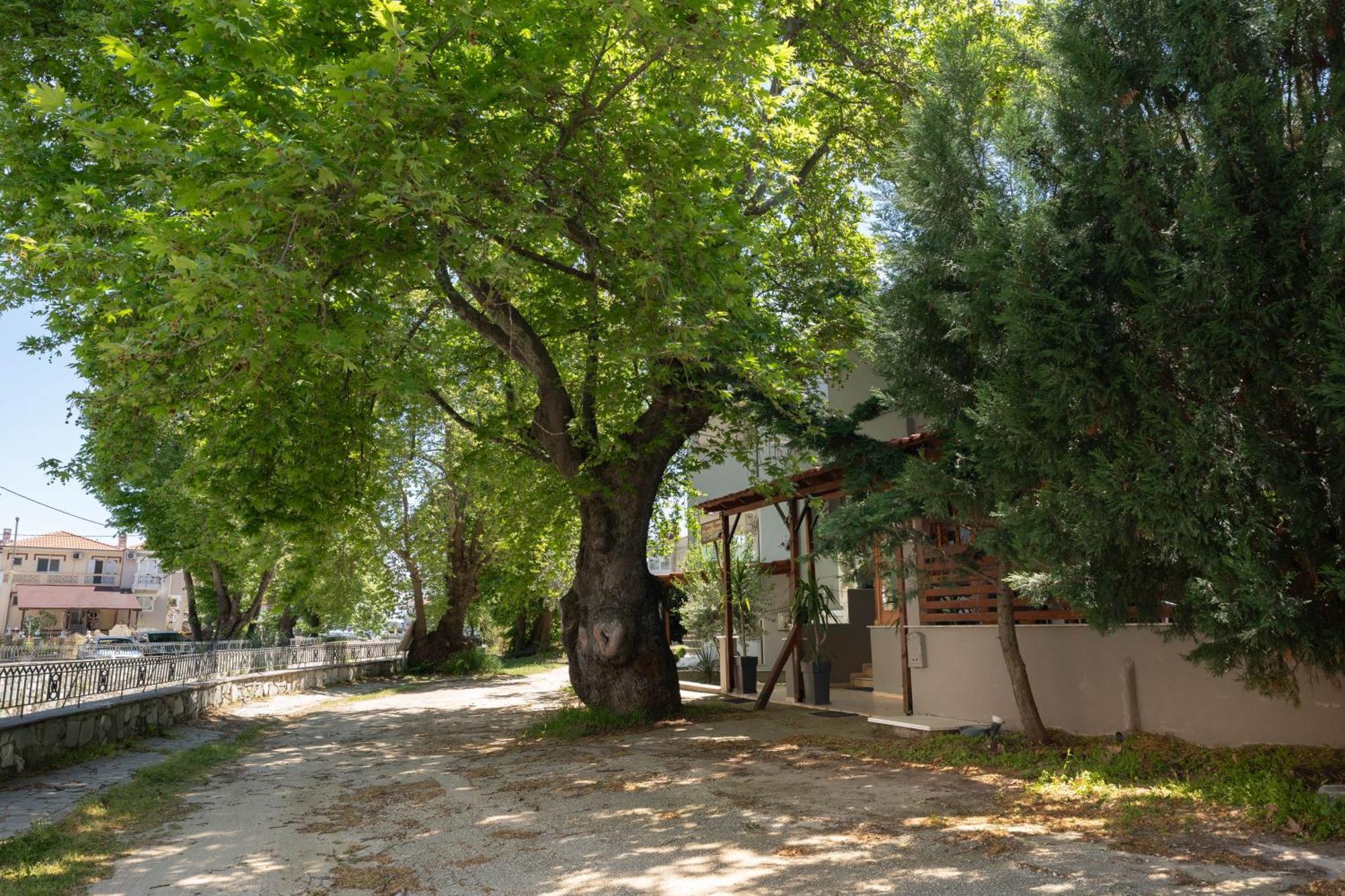 Kipos Resort Néa Péramos Kültér fotó